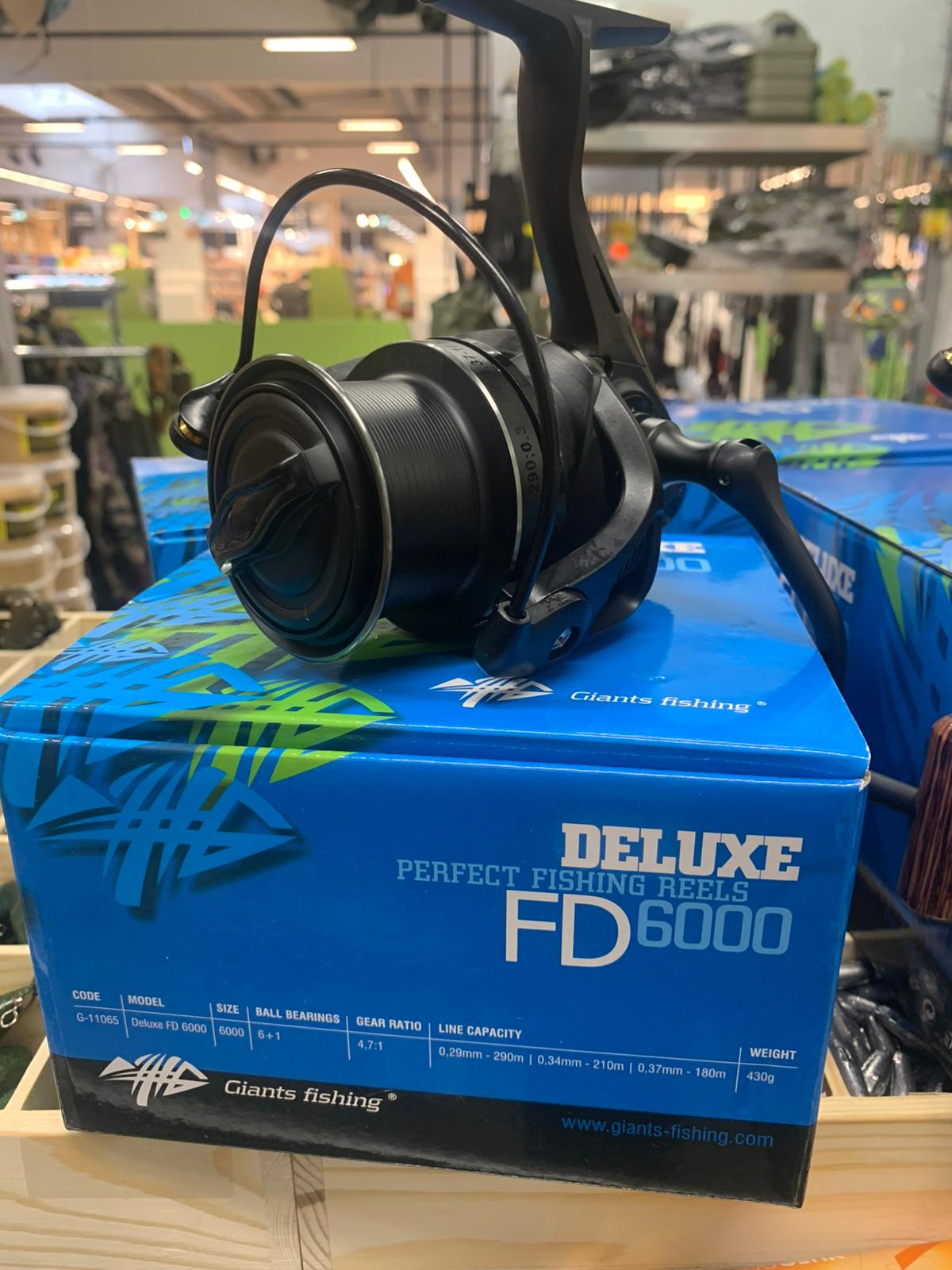 Galerie – prodejna a vybavení